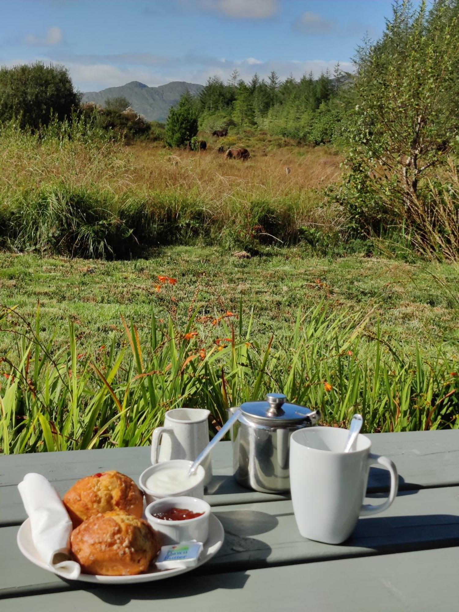 Alaind Lodges, Sneem Zewnętrze zdjęcie
